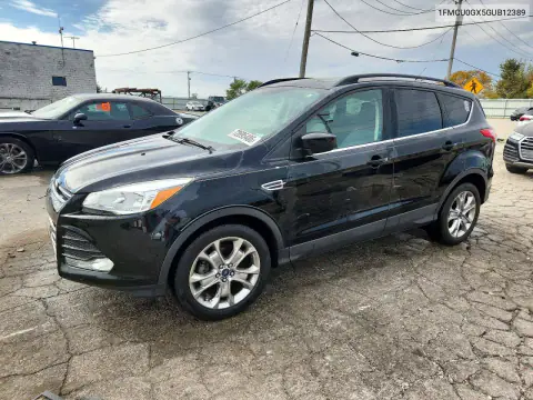 1FMCU0GX5GUB12389 — 2016 Ford Escape, Верхняя часть / Крыша, фото до ремонта