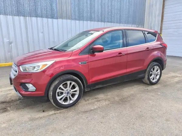 1FMCU0GD5KUB34651 Ford Escape 2019 — повреждение Мелкие вмятины и царапины, фото до ремонта
