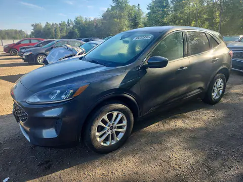1FMCU9G66LUB31510 — 2020 Ford Escape, Мелкие вмятины и царапины (Minor Dent/Scratches), фото до ремонта