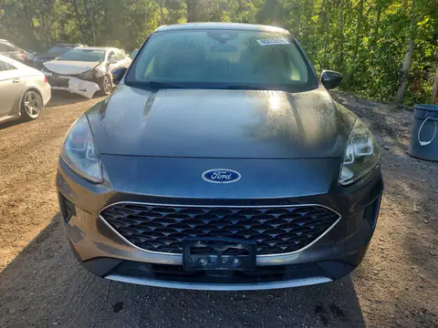 1FMCU9G66LUB31510 — 2020 Ford Escape, Мелкие вмятины и царапины (Minor Dent/Scratches), фото до ремонта