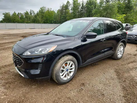 1FMCU9G60LUB31504 — 2020 Ford Escape, Мелкие вмятины и царапины (Minor Dent/Scratches), фото до ремонта
