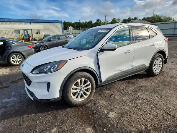 1FMCU9G62LUA85237 — 2020 Ford Escape, Задняя часть (Rear End), фото до ремонта