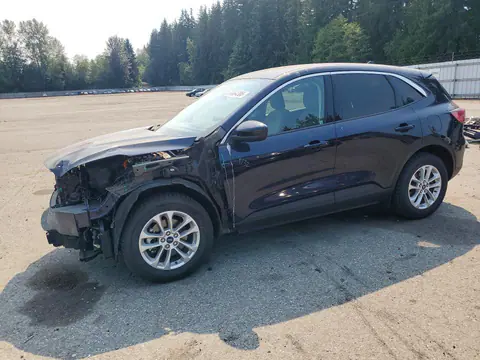 1FMCU9BZ6MUA21527 — 2021 Ford Escape, Передняя часть (Front End), фото до ремонта