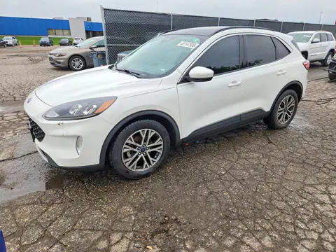 1FMCU0H67MUB05025 — 2021 Ford Escape, Мелкие вмятины и царапины (Minor Dent/Scratches), фото до ремонта