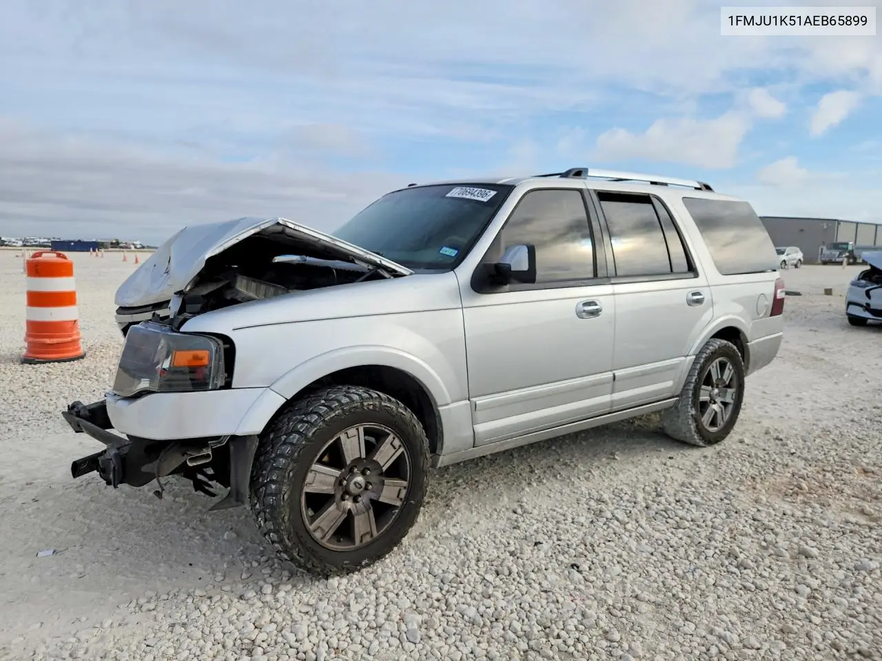 2010 Ford Expedition Limited VIN 1FMJU1K51AEB65899 фото 1