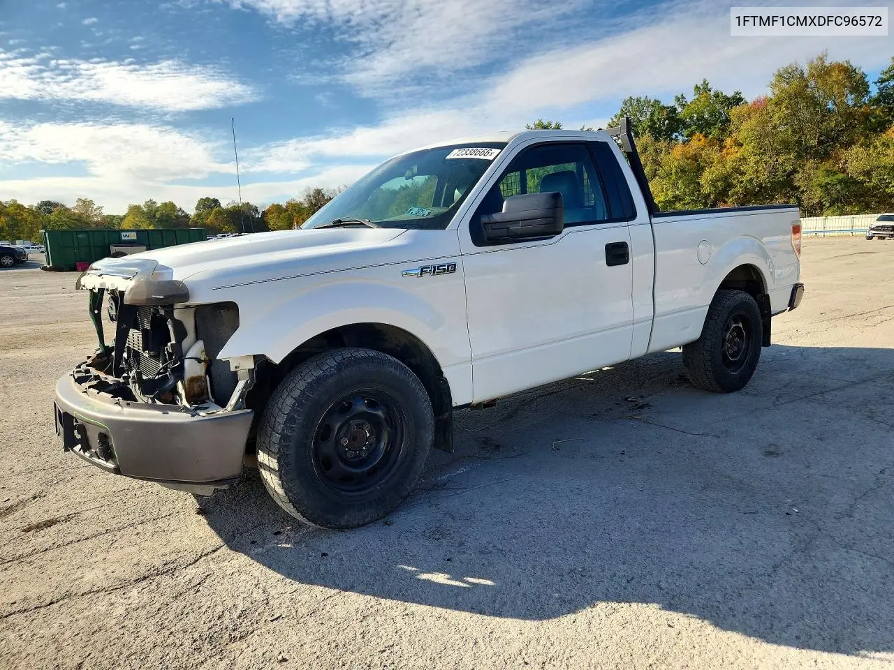 2013 Ford F150 VIN 1FTMF1CMXDFC96572 фото 1