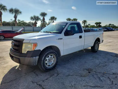 1FTMF1CM4EKF55601 — 2014 Ford F-150, Мелкие вмятины и царапины, фото до ремонта