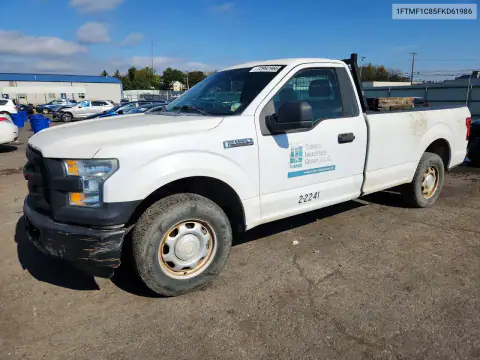 1FTMF1C85FKD61986 — 2015 Ford F-150, Мелкие вмятины и царапины, фото до ремонта