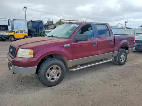 1FTPW14545KC30659 — 2005 Ford F150, Мелкие вмятины и царапины (Minor Dent/Scratches), фото до ремонта