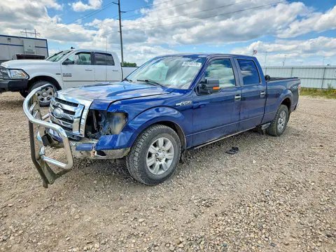 1FTPW14V59FB30410 — 2009 Ford F150, Передняя часть (Front End), фото до ремонта