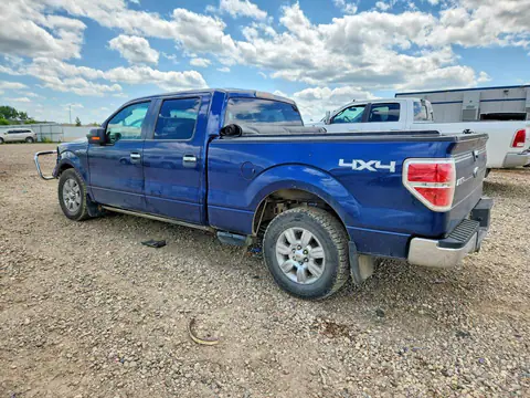 2009 FORD F150 VIN 1FTPW14V59FB30410 фото 2