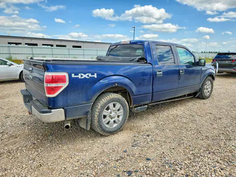 2009 FORD F150 VIN 1FTPW14V59FB30410 фото 3