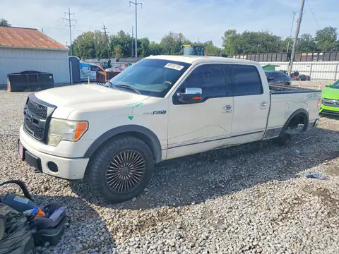 1FTPW14V89FA47814 — 2009 Ford F150, Задняя часть (Rear End), фото до ремонта