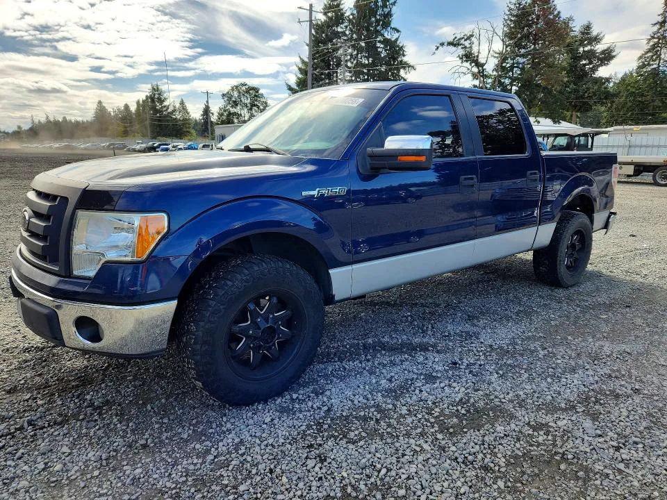 2009 FORD F150 VIN 1FTRW12829FA07413 фото 1