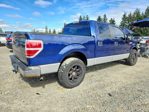 2009 FORD F150 VIN 1FTRW12829FA07413 фото 3