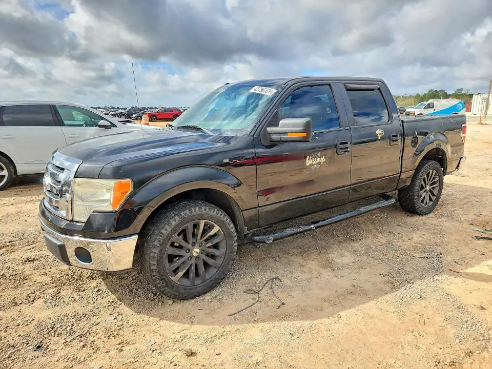 1FTFW1CVXAFA85174 Ford F150 2010 — повреждение Мелкие вмятины и царапины, фото до ремонта