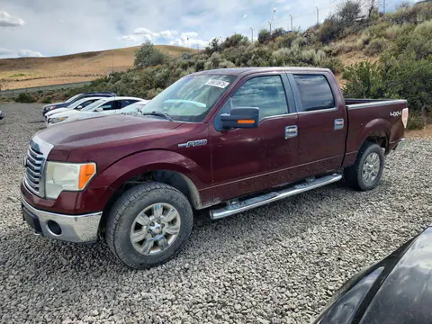 1FTFW1EV5AKC19867 — 2010 Ford F150, Задняя часть (Rear End), фото до ремонта