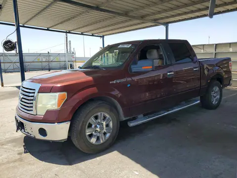 1FTEW1C88AFC85184 — 2010 Ford F150, Передняя часть (Front End), фото до ремонта