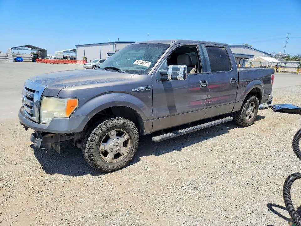 2010 FORD F150 VIN 1FTEW1C80AFB13781 фото 1