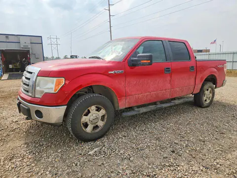 1FTFW1EV7AFA06055 — 2010 Ford F150, Боковая часть (Side), фото до ремонта