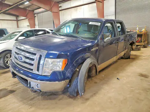 2010 FORD F150 VIN 1FTEW1E88AFB59114 фото 1
