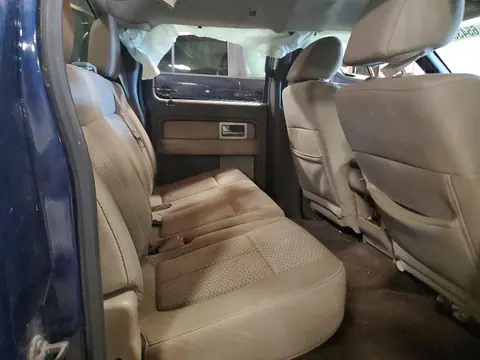 2010 FORD F150 VIN 1FTEW1E88AFB59114 фото 10