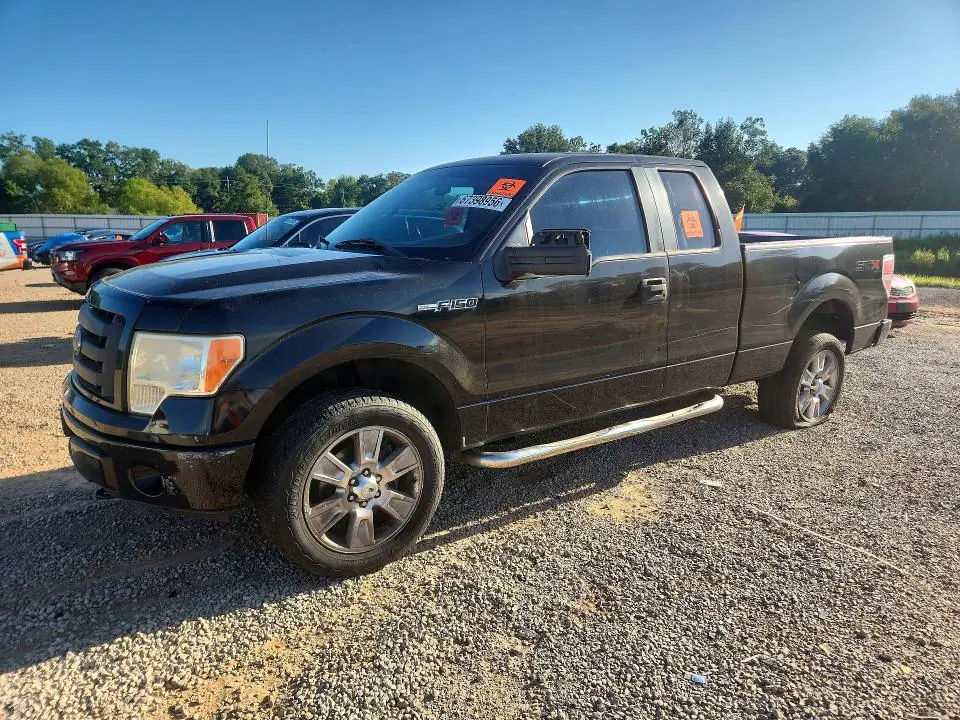 1FTEX1EW3AKE81341 Ford F150 2010 — повреждение Мелкие вмятины и царапины, фото до ремонта
