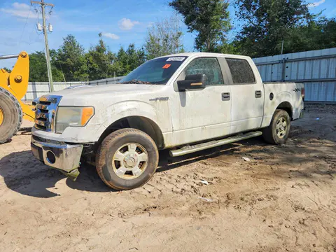 1FTFW1EVXAKE62302 — 2010 Ford F150, Мелкие вмятины и царапины (Minor Dent/Scratches), фото до ремонта