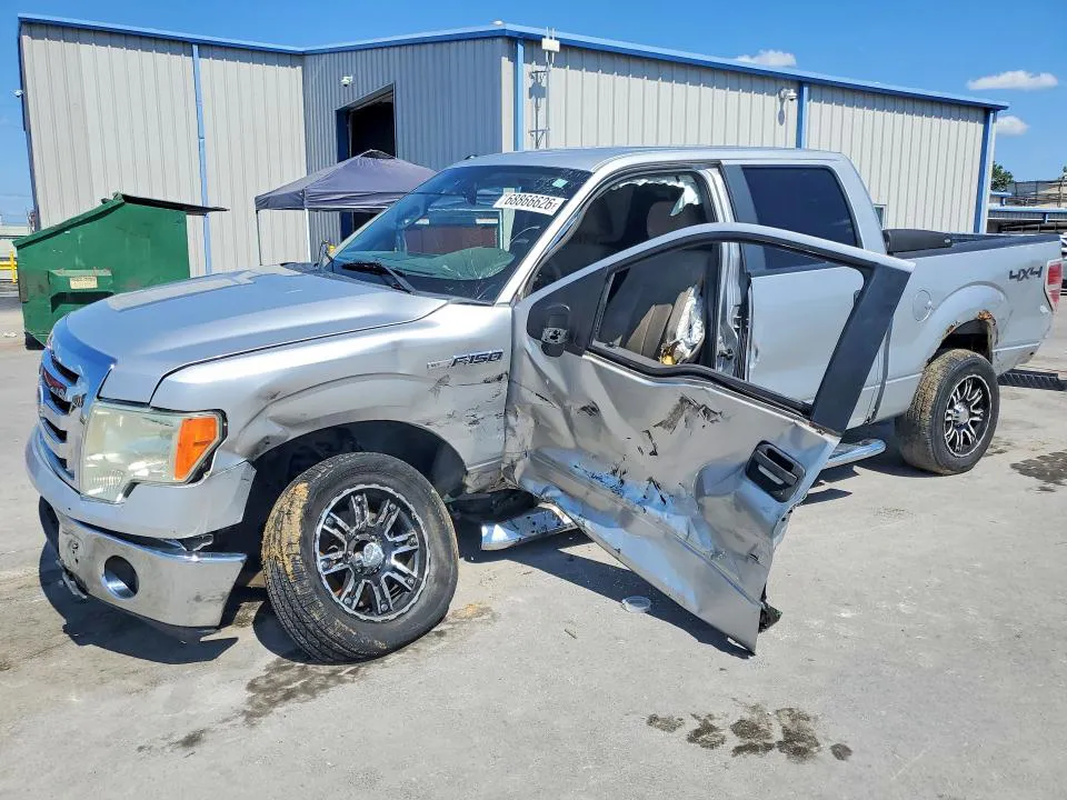 2010 FORD F150 VIN 1FTEW1E87AKE07621 фото 1