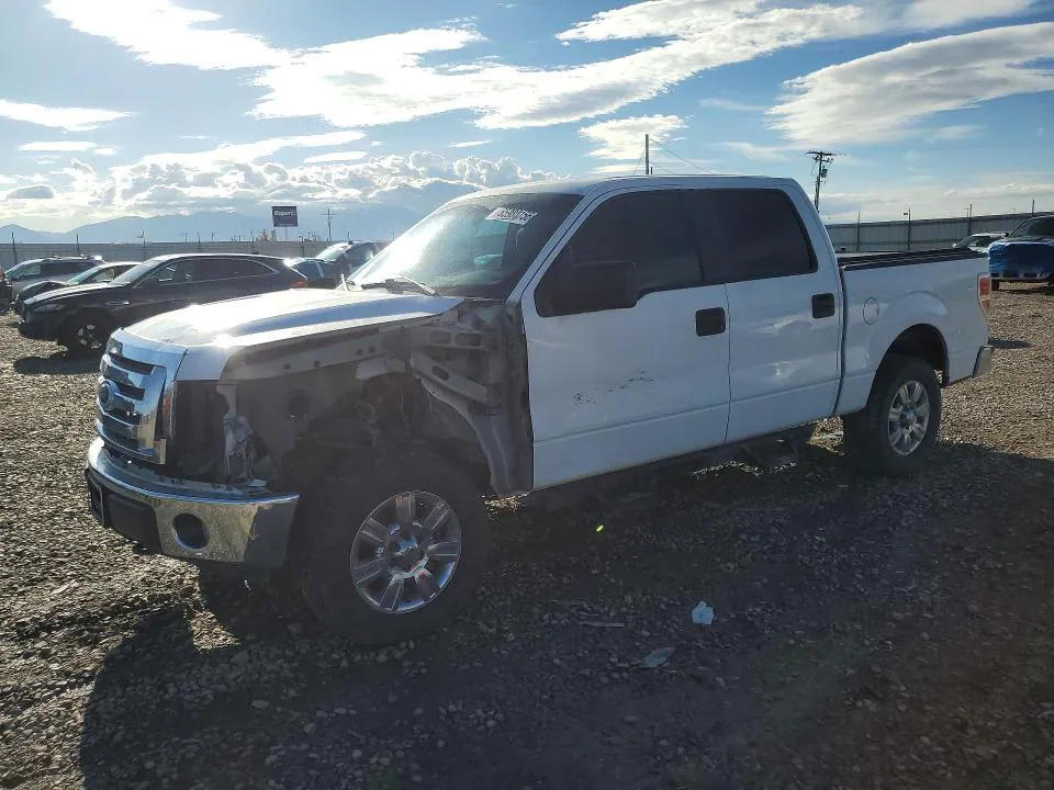 2011 FORD F150 VIN 1FTFW1EF4BKD21834 фото 1