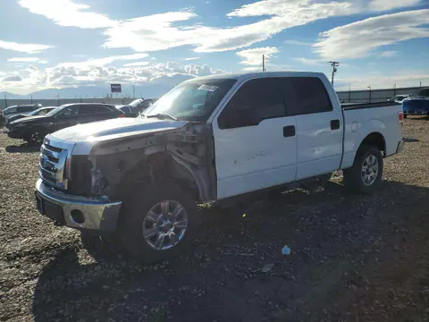 1FTFW1EF4BKD21834 — 2011 Ford F150, Передняя часть (Front End), фото до ремонта