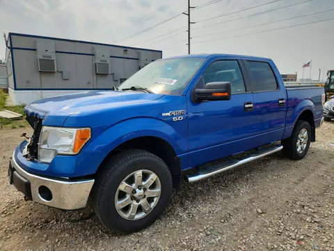 1FTFW1EF0DKE17768 — 2013 Ford F150, Передняя часть (Front End), фото до ремонта