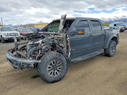 1FTFW1R63EFC96528 — 2014 Ford F150, Пожар двигателя (Burn - Engine), фото до ремонта
