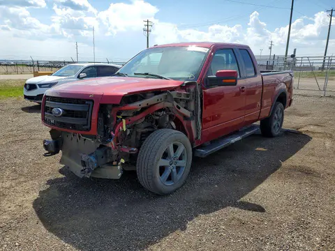 1FTFX1EF5EFA79873 — 2014 Ford F150, Передняя часть (Front End), фото до ремонта