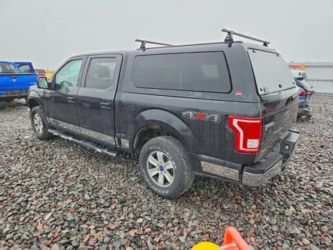 1FTEW1E8XFKD06032 — 2015 Ford F150, Передняя часть (Front End), фото до ремонта