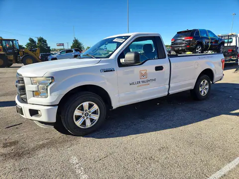 1FTMF1C81FKD61614 — 2015 Ford F150, Задняя часть (Rear End), фото до ремонта