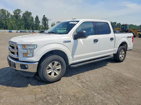 1FTEW1E86GFA21631 — 2016 Ford F150, Задняя часть (Rear End), фото до ремонта