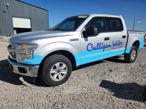 1FTEW1EG0HKD76343 — 2017 Ford F150, Задняя часть (Rear End), фото до ремонта