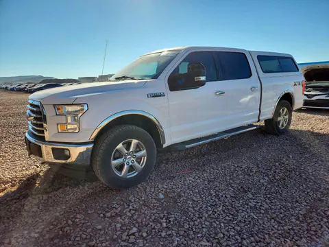 1FTFW1EFXHKD28635 — 2017 Ford F150, Мелкие вмятины и царапины (Minor Dent/Scratches), фото до ремонта