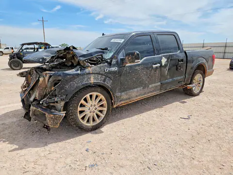 1FTEW1EG7KFC45491 — 2019 Ford F150, Передняя часть (Front End), фото до ремонта
