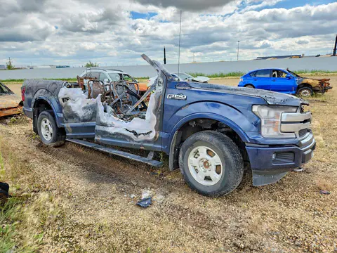2020 Ford F150 VIN 1FTEW1E48LFC13544 фото 4