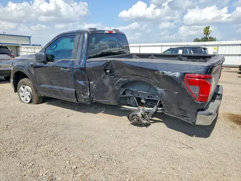 1FTMF1L51SKF20308 — 2025 Ford F150, фото 2 с аукциона Copart 30.09.2026, Задняя часть