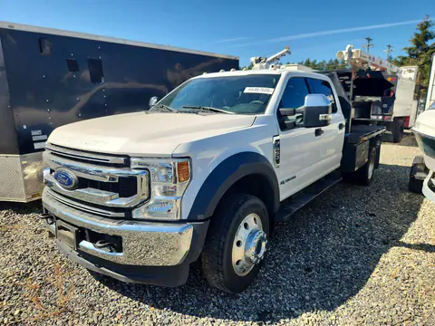 1FD0W4HT4LEC94512 — 2020 Ford F450, Боковая часть (Side), фото до ремонта