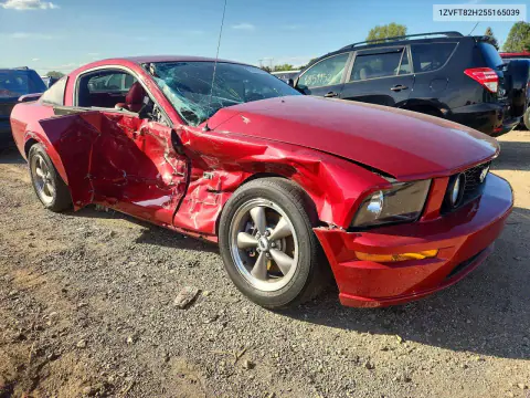 2005 Ford Mustang Gt VIN 1ZVFT82H255165039 фото 4