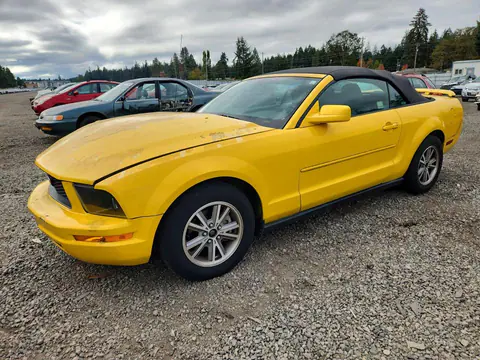 1ZVFT84N155182448 — 2005 Ford Mustang, Передняя часть (Front End), фото до ремонта