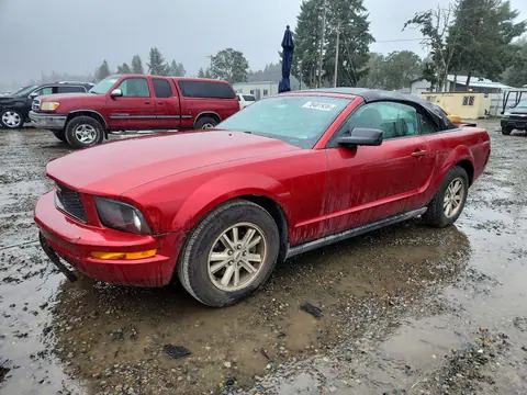 1ZVFT84N875354672 — 2007 Ford Mustang, Задняя часть (Rear End), фото до ремонта