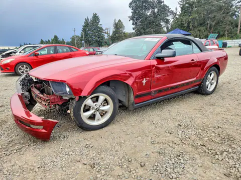 1ZVHT84N885129761 — 2008 Ford Mustang, Передняя часть (Front End), фото до ремонта