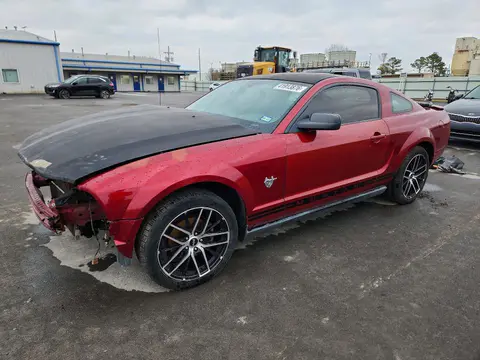 1ZVHT80N395144112 — 2009 Ford Mustang, Передняя часть (Front End), фото до ремонта