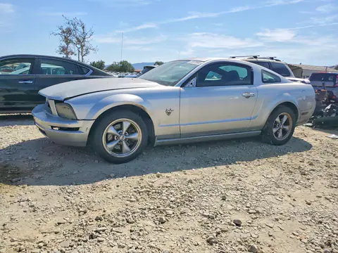 1ZVHT82HX95103533 — 2009 Ford Mustang, Механические повреждения (Mechanical), фото до ремонта