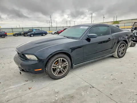 1ZVBP8AN3A5128165 — 2010 Ford Mustang, Передняя часть (Front End), фото до ремонта